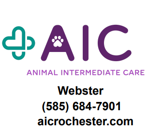 Animal Intermediate Care