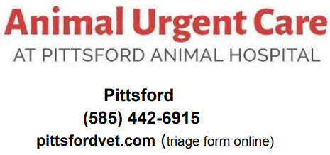 Animal Urgent Care