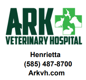 Ark Veterinary Hospital