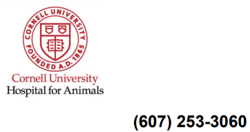 Cornell University Hospital for Animals