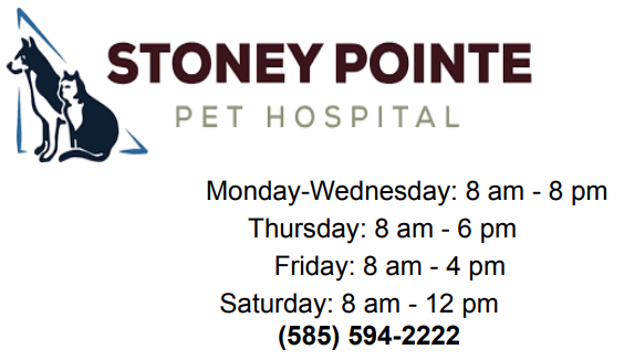 Stoney Pointe Pet Hospital