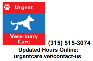 Urgent Veterinary Care